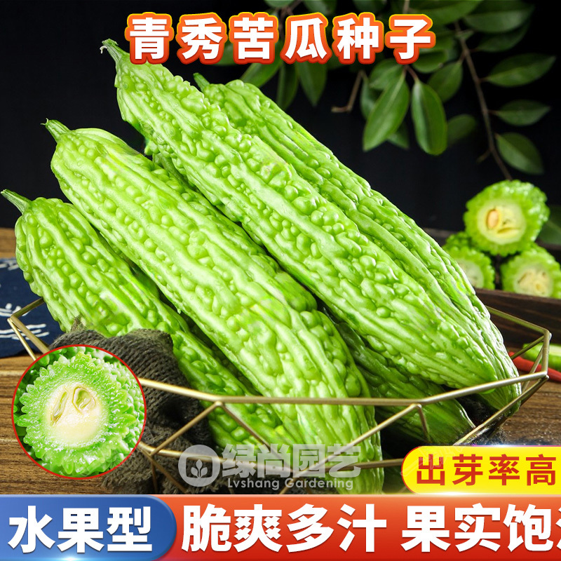 长绿苦瓜种子油绿长苦瓜种籽庭院阳台盆栽爬藤苦瓜种子苗蔬菜种苗