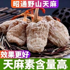 云南昭通野生特级老天麻专治头痛