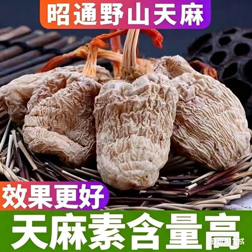 云南昭通野生特级老天麻专治头痛