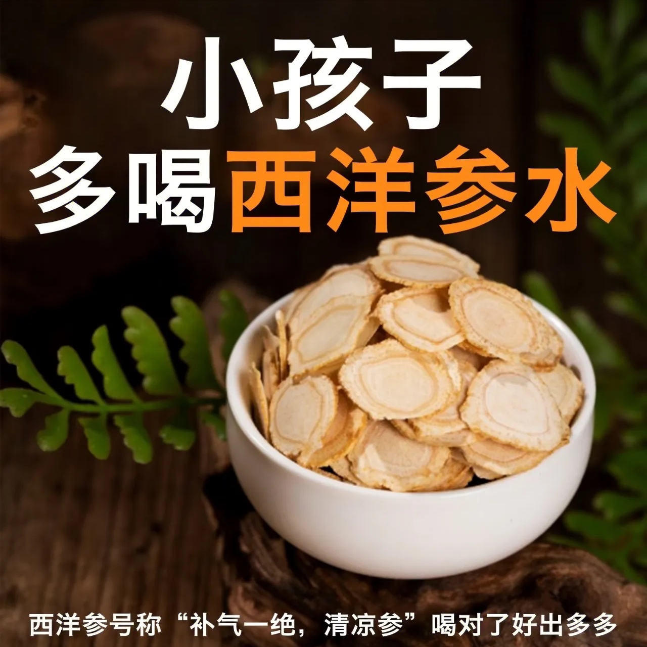 长白山野生西洋参不是假进口那种