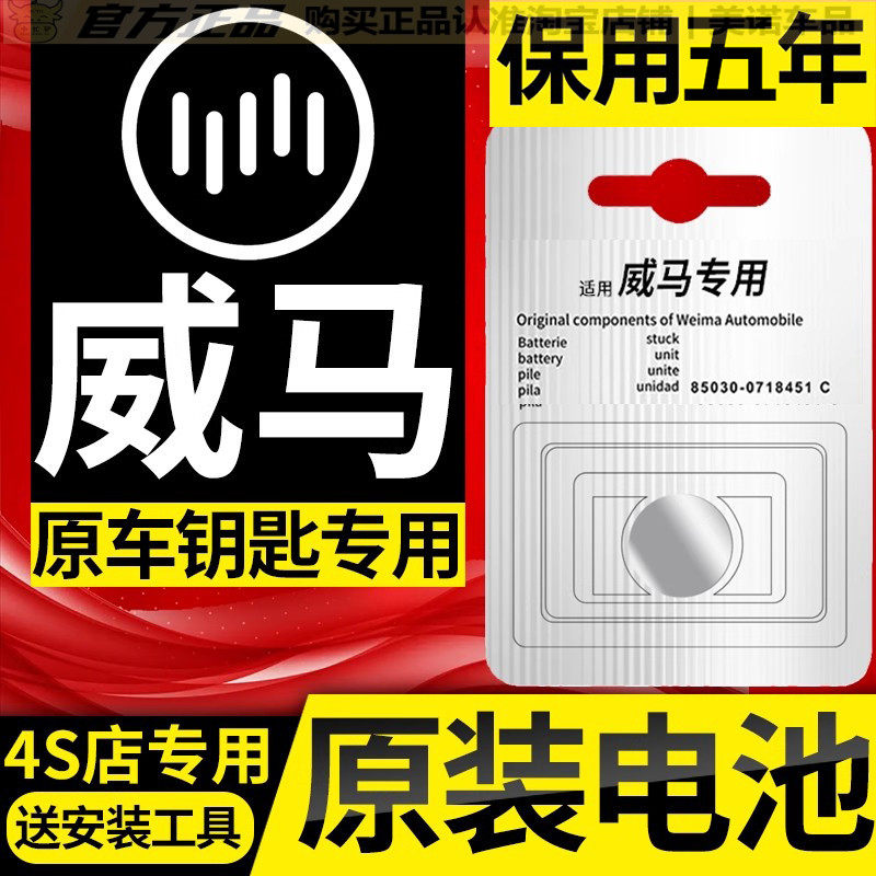 适用威马EX5/EX6/W6/E5汽车钥匙电池 原装遥控器纽扣电磁子CR2032