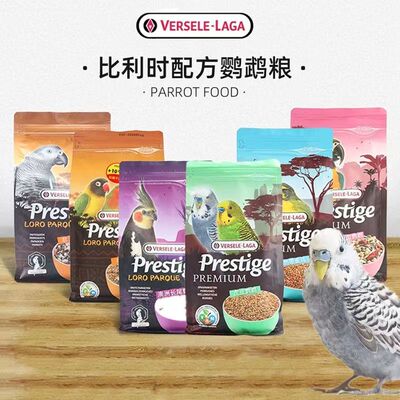 比利时凡塞尔鹦鹉鸟类谷子专用粮