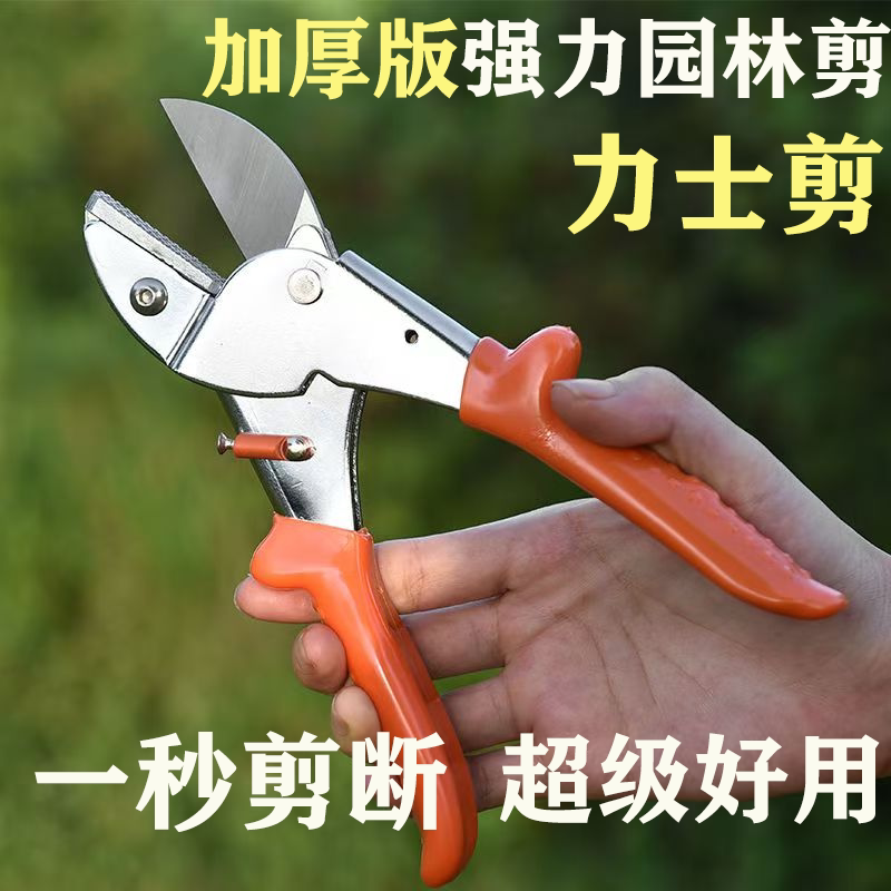 强力SK5修剪树枝剪刀果枝修枝剪图片