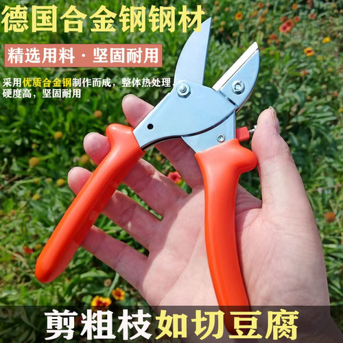 德国进口修枝剪园林力士剪刀