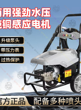 踏鲨商用全自动强力洗车机