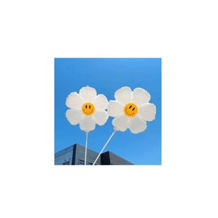 雏菊太阳花朵气球带杆笑脸户外野餐拍照道具摆地摊推小礼品