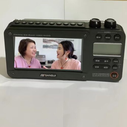 批发/山水F504寸工厂授权直销