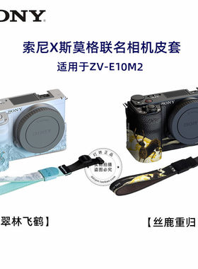 索尼ZV-E10M2二代相机保护皮套腕带套装底座相机包装饰配件保护壳