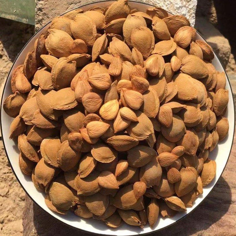 山西野生甜杏核未加工仁用杏核