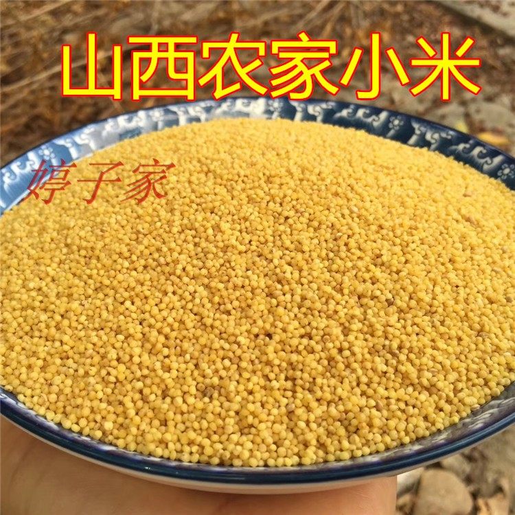 新种自留种自家黄小米山西小米天然无污染食品5斤装熬粥必选