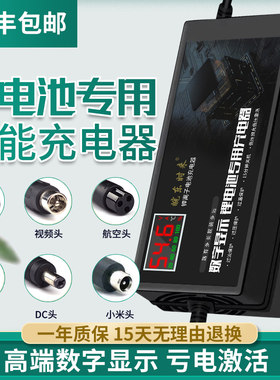 天能锂电池电动车专用智能修覆数显充电器48V2A20a60伏快充大功率