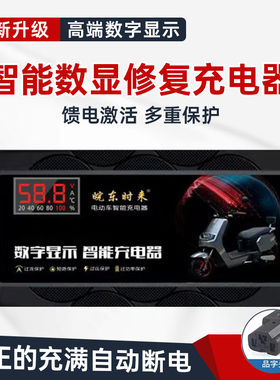 96V20AH自动断电大三轮电动车电瓶充电器120V80V30A电摩60V72V48