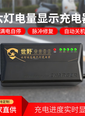 雅迪专用智能修复数显电动车充电器48V60V72伏圆针接口Y型接口通