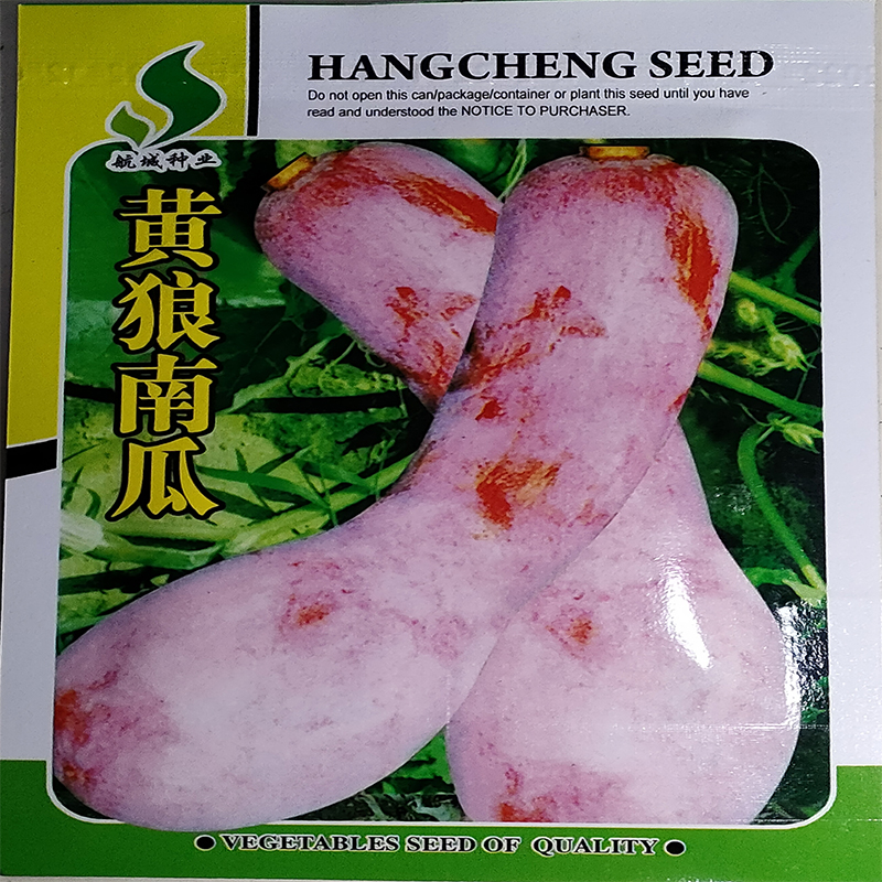 蔬菜种子黄狼南瓜种子粉糯甜