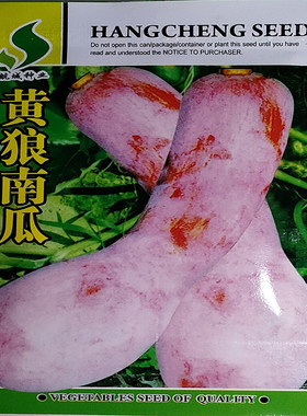 蔬菜种子黄狼南瓜种子粉糯甜