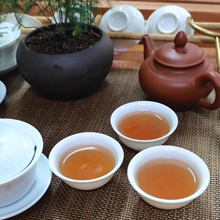 凤凰单枞茶潮州特级中熟火凤凰单丛蜜兰香浓香茶送礼养生茶叶