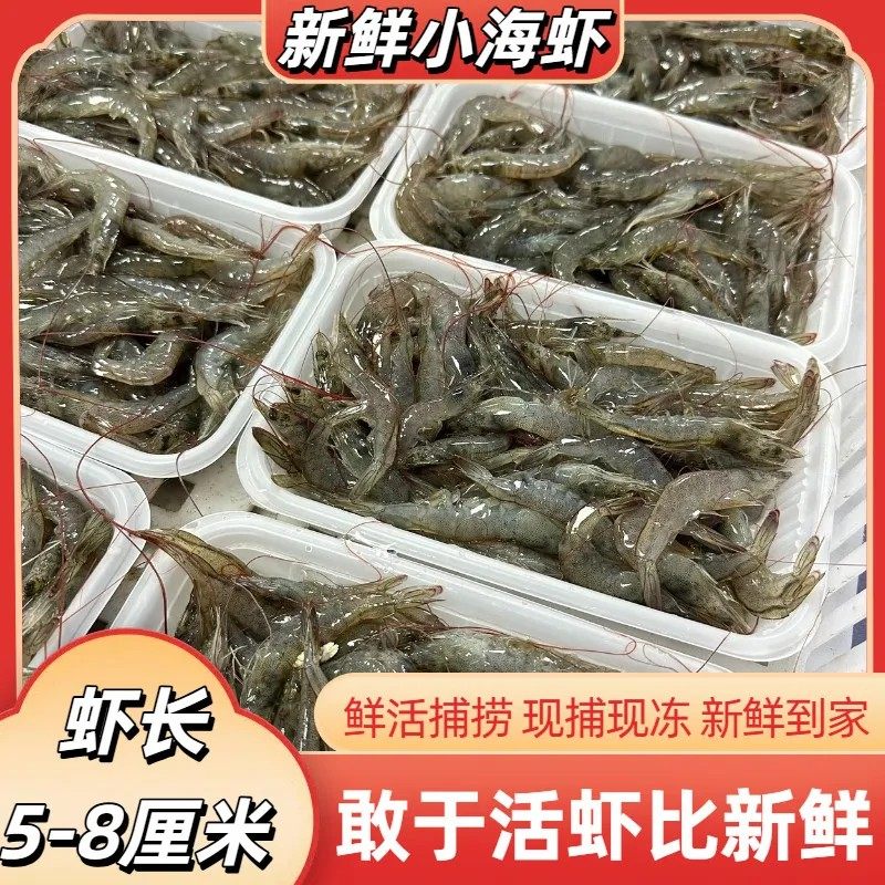 【顺丰】鲜活冷冻小海虾肉质弹钓鱼专用产地直发商用虾水产品江苏