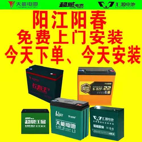 天能电池36V48V60V72V20ah12a32A20A12A铅酸电瓶A6和L3随机发货