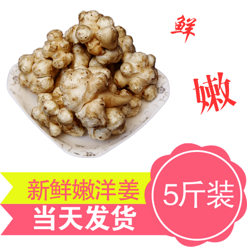 新鲜洋姜野生鬼子姜腌制咸菜泡菜酱菜现挖野生菊芋产品5斤装包邮 水产肉类/新鲜蔬果/熟食 其它 原图主图