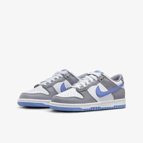 Nike/耐克Dunk Low GS女子大童休闲轻便板鞋FB9109-121