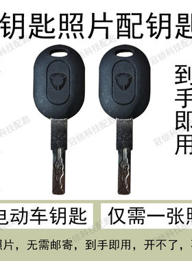 适配各种品牌电动车钥匙照片远程配钥匙拍照图片配防盗锁钥匙开齿