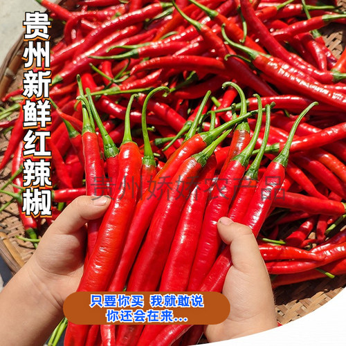 贵州本地新鲜红辣椒二荆条新鲜
