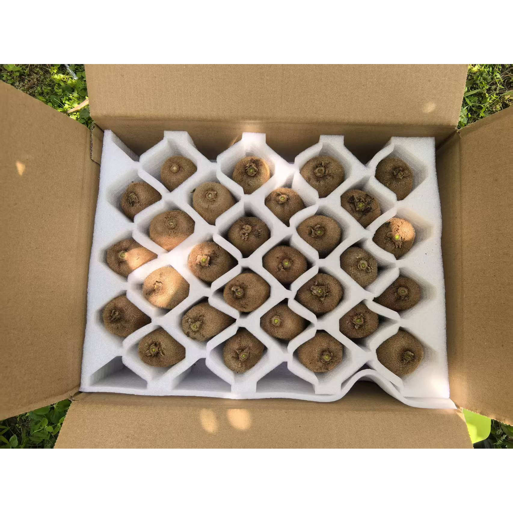 修文新鲜现摘贵长猕猴桃孕妇水果