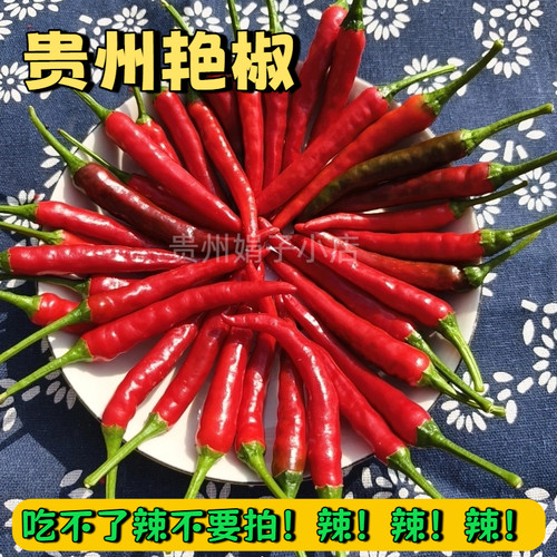 新鲜贵州现摘尖椒薄皮包邮小米辣