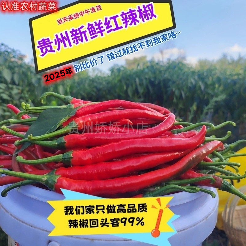 红线椒剁椒当天现摘现发