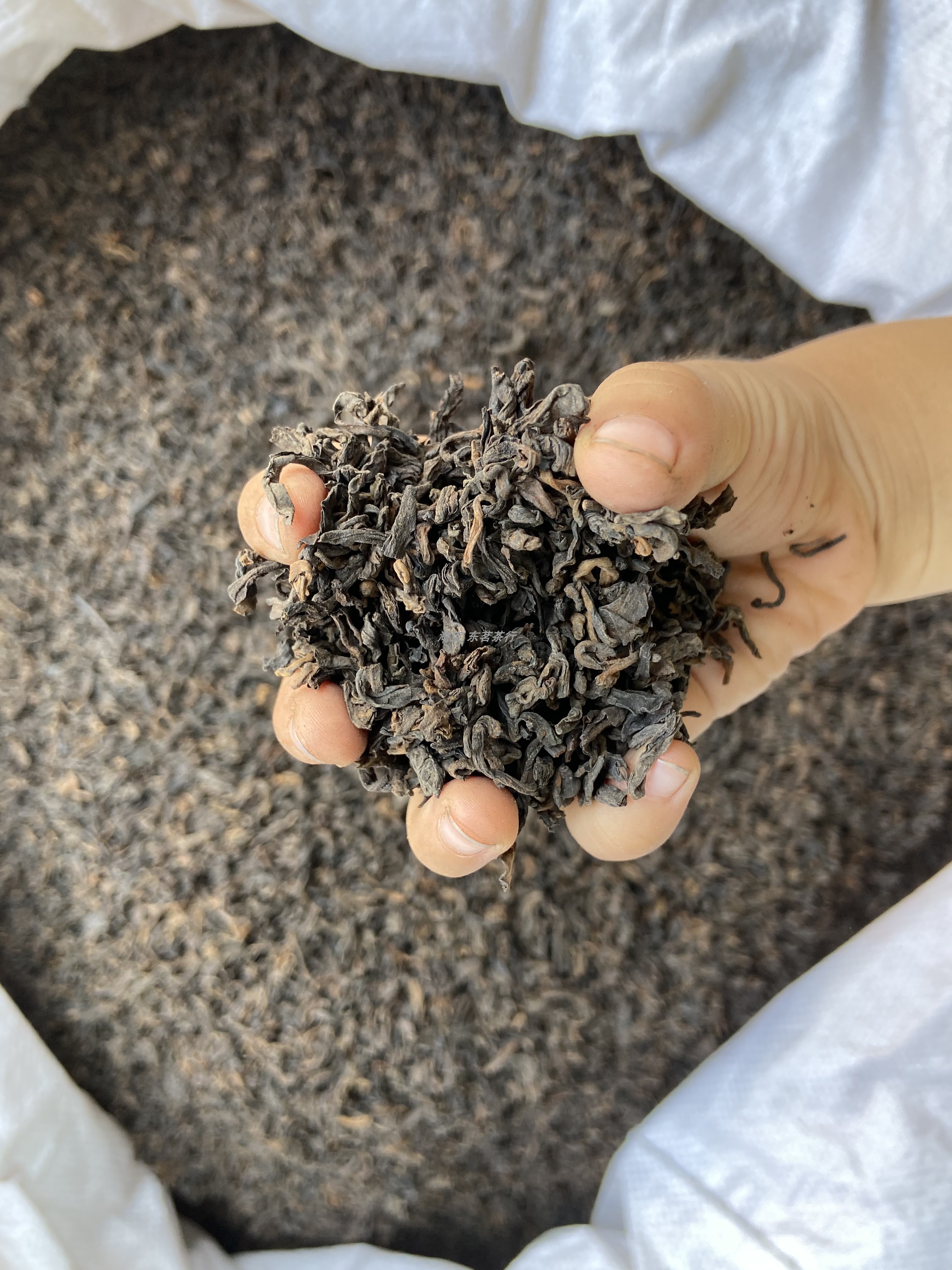 5年-10年 普洱茶熟茶 散茶普洱