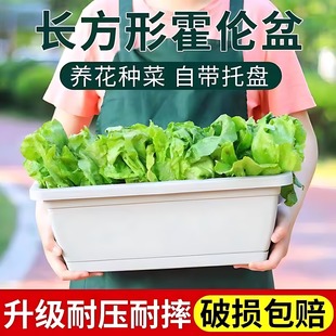 加厚霍伦盆家用长方形种植槽盆栽塑料花盆大号 阳台种花种菜盆新款