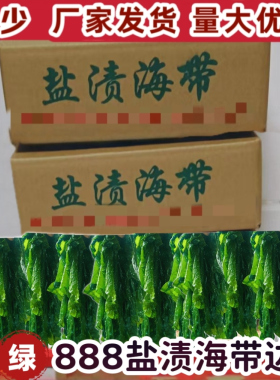 盐渍海带边绿边薄海带大连特产海带条火锅麻辣烫食材商用整箱海带