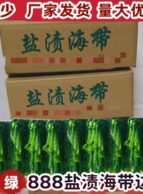 盐渍海带边绿边薄海带大连特产海带条火锅麻辣烫食材商用整箱海带