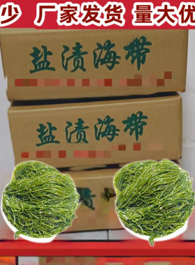 888盐渍海带丝细丝批发商用盐渍海带牛肉面丝凉拌菜食材凉拌菜