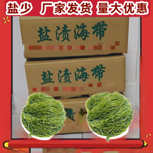 888盐渍海带丝细丝批发商用盐渍海带牛肉面丝凉拌菜食材凉拌菜