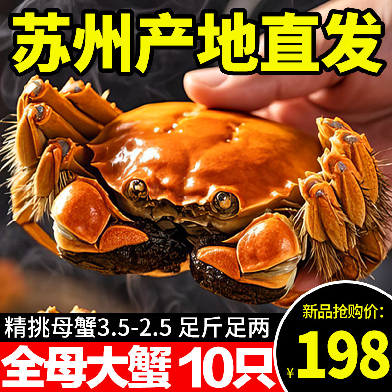 活蟹现货苏州阳澄大闸蟹特大蟹