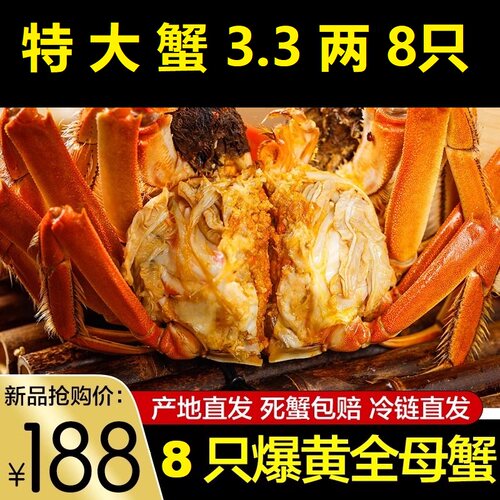 特大大闸蟹活蟹鲜活苏州阳澄发