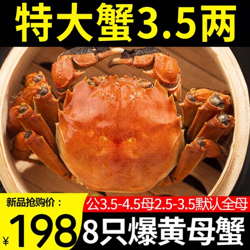 大闸蟹母蟹鲜活阳澄湖镇发货礼盒