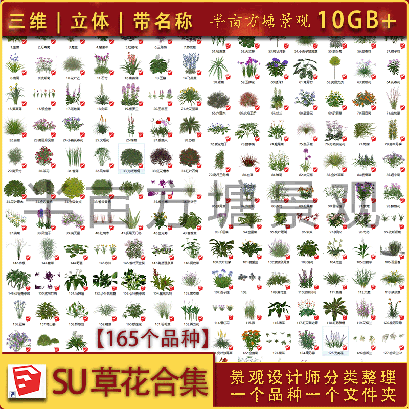 su草花合集3d植物模型三维立体带名称草本花卉球灌木可渲染素材库