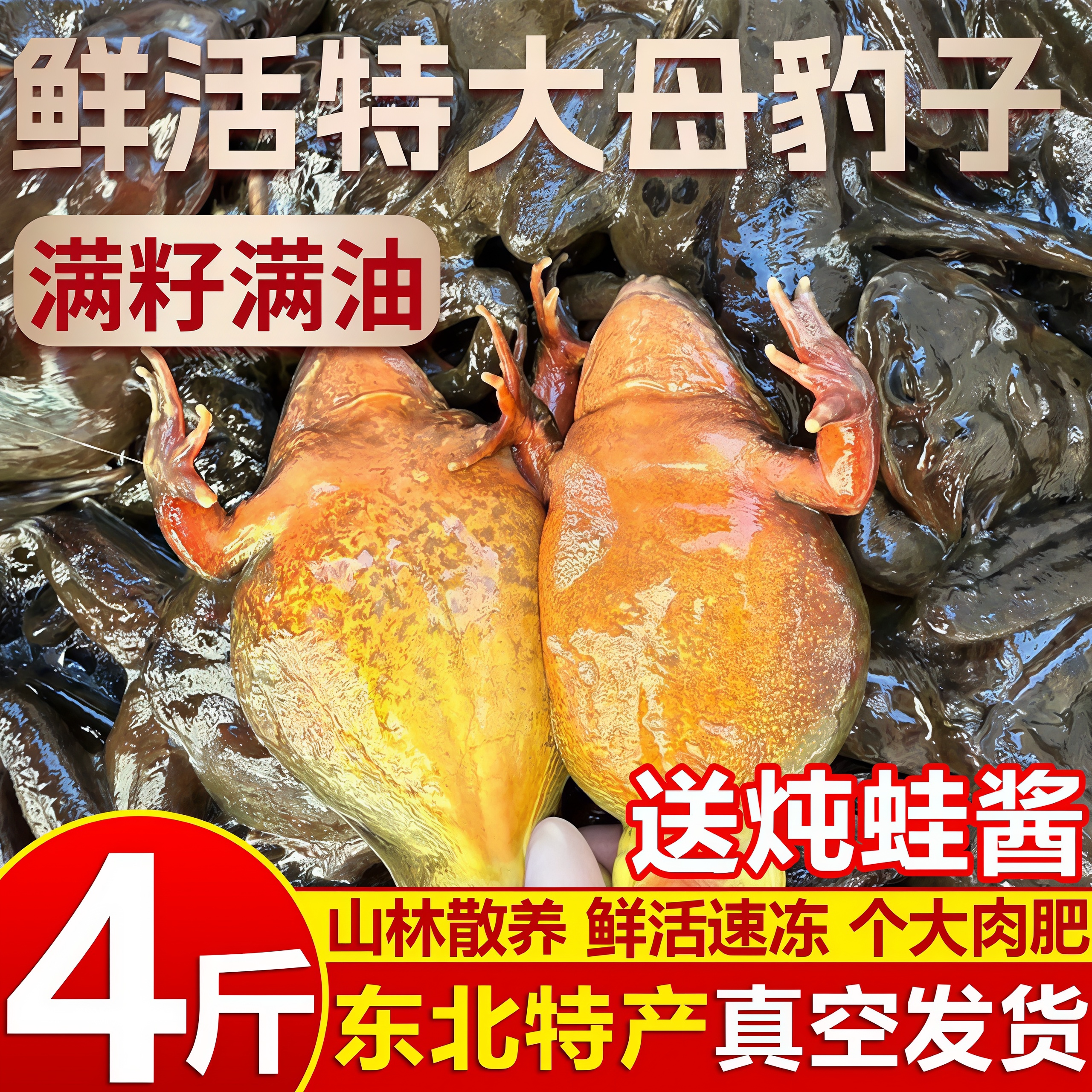 【蛙王】特大号东北林蛙蛤蟆特产雪蛤鲜活母豹子满籽满油冷冻水产