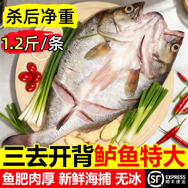新鲜冷冻开背三去鲈鱼清蒸烤鱼