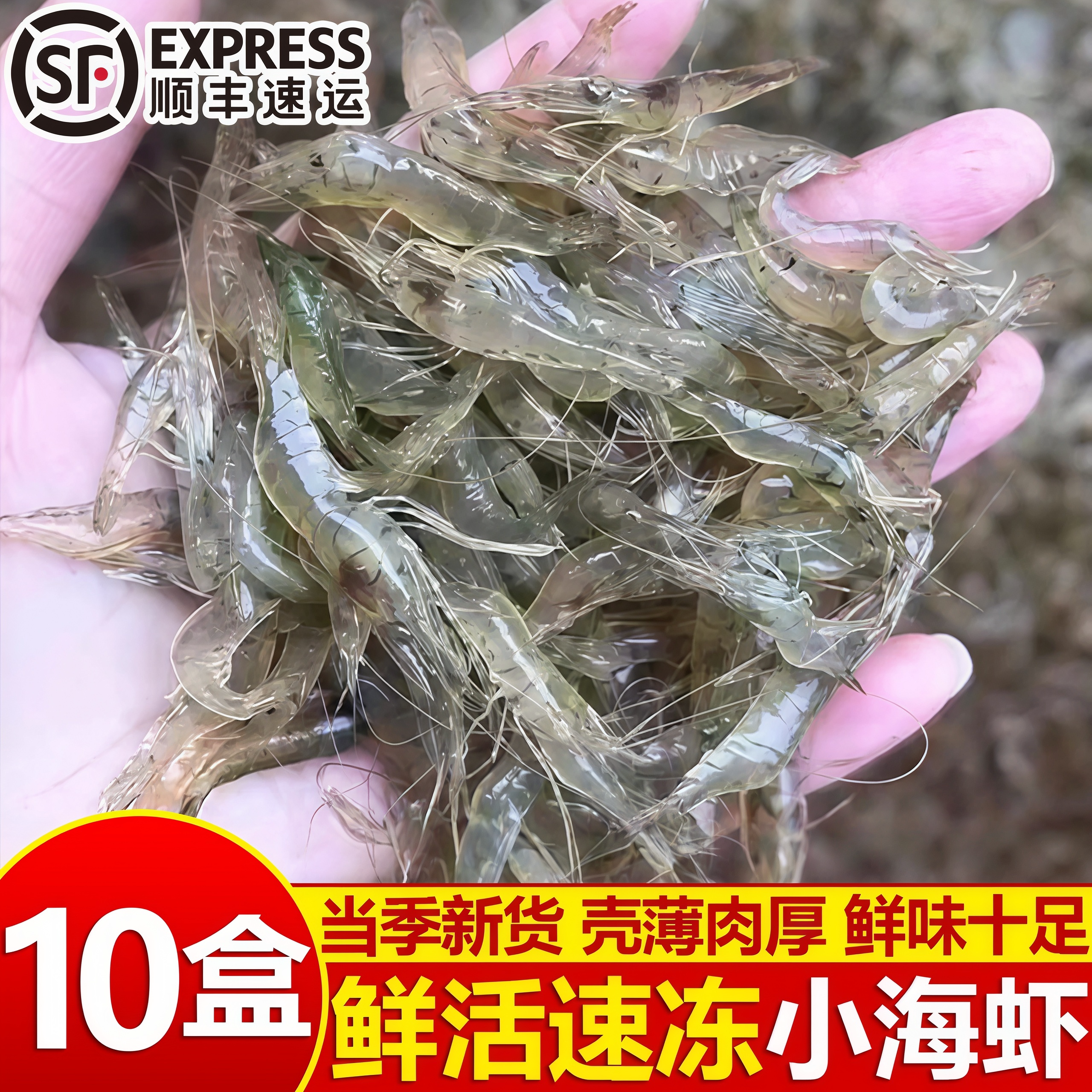寰球邮鲜野生海捕急冻小白虾