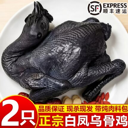 散养正宗农家滋补乌骨鸡整只乌鸡新鲜活鸡鸡肉现杀补血土鸡煲汤