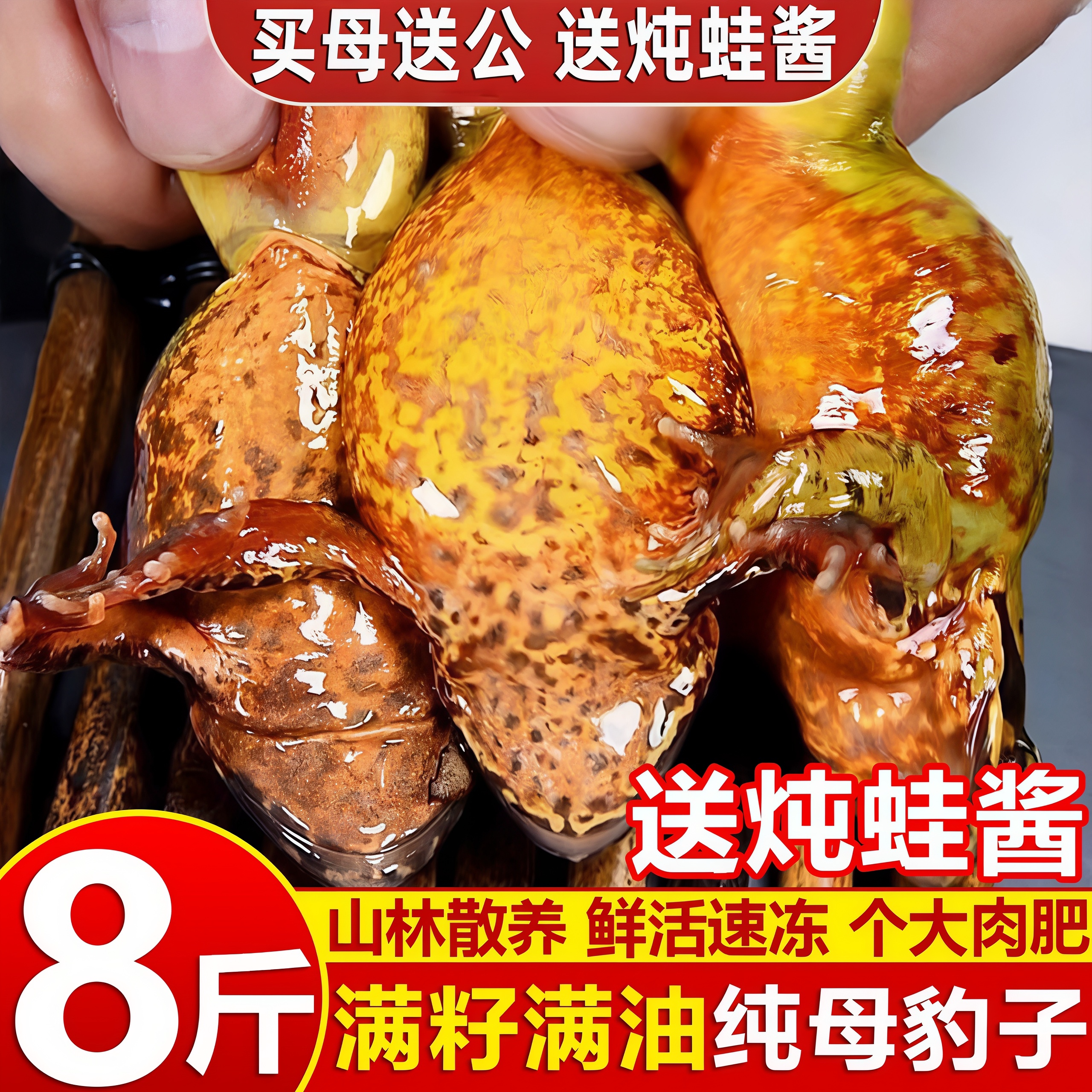 东北林蛙2026年新货蛤蟆东北特产雪蛤林蛙冷冻母豹子哈什蟆