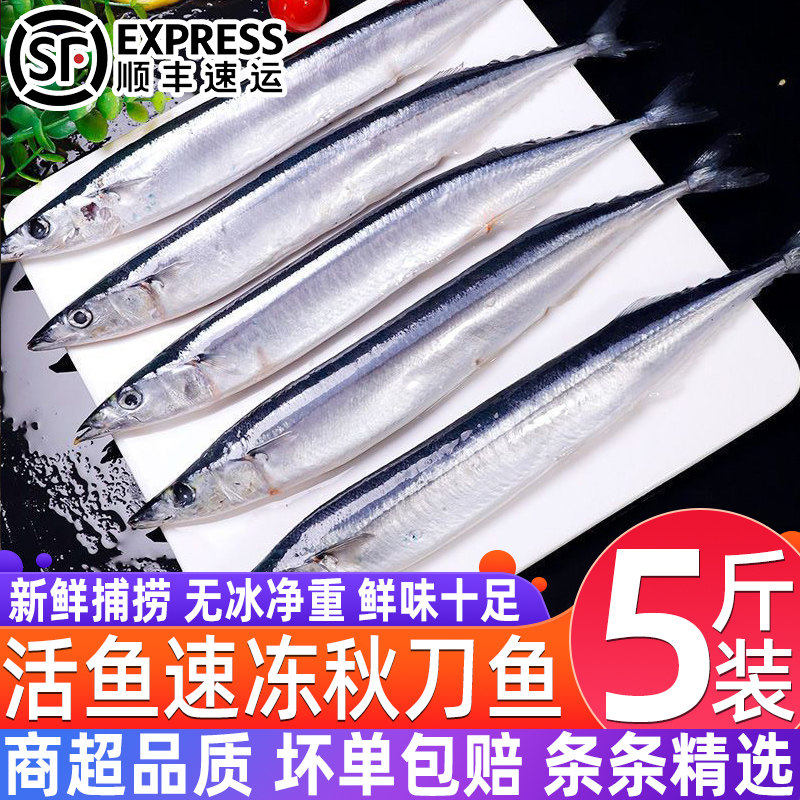秋刀鱼新鲜大号海捕野生深海鱼日式鲜活冷冻海鲜烧烤整箱食材批发