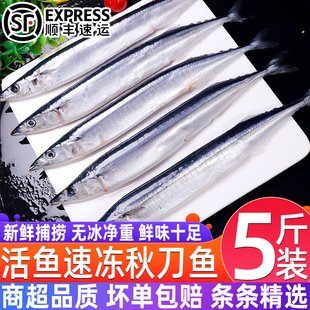 秋刀鱼新鲜大号海捕野生深海鱼日式鲜活冷冻海鲜烧烤整箱食材批发