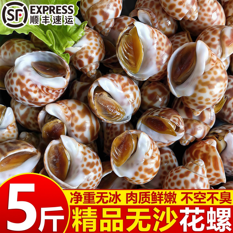 鲜冻无沙大号花螺顺丰包邮
