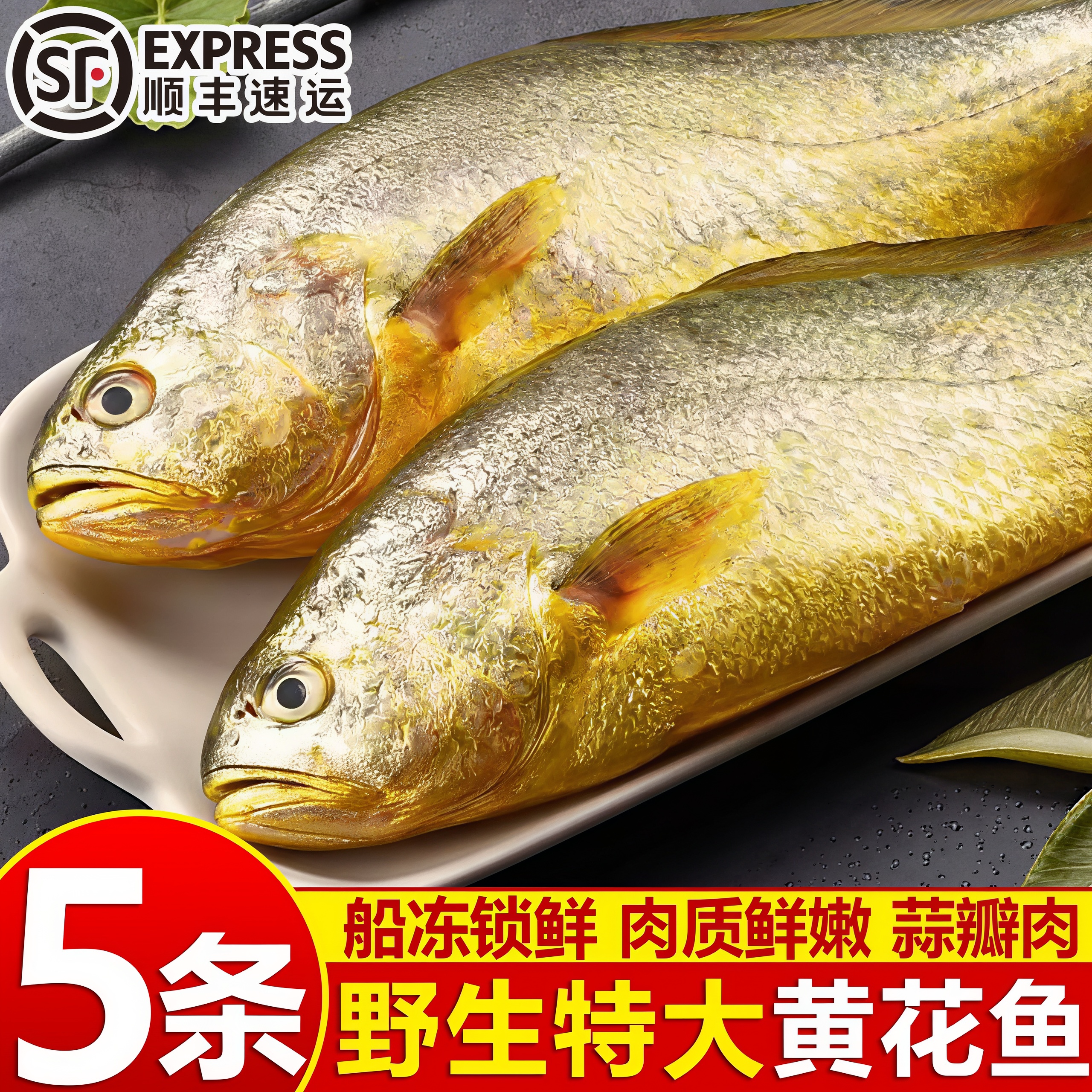 深海特大黄花鱼海捕速冻整箱