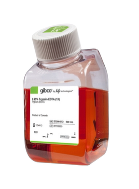 25200-072 Gibco胰酶500ml 胰蛋白酶消化液含EDTA含酚红 25200072