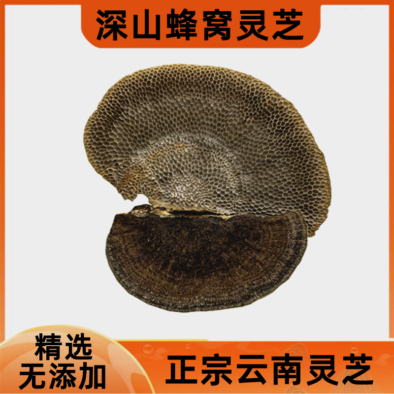 灵芝云南野外蜂窝灵芝深山生长平盖菌子正宗中药材山货泡酒料500g